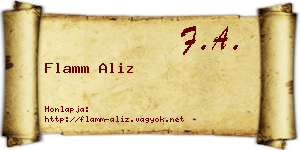 Flamm Aliz névjegykártya